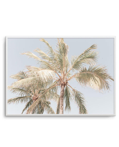 Noosa Palms I | LS Art Print-PRINT-Olive et Oriel-Olive et Oriel-A4 | 8.3" x 11.7" | 21 x 29.7cm-Unframed Art Print-With White Border-Buy-Australian-Art-Prints-Online-with-Olive-et-Oriel-Your-Artwork-Specialists-Austrailia-Decorate-With-Coastal-Photo-Wall-Art-Prints-From-Our-Beach-House-Artwork-Collection-Fine-Poster-and-Framed-Artwork