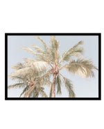 Noosa Palms I | LS Art Print-PRINT-Olive et Oriel-Olive et Oriel-A4 | 8.3" x 11.7" | 21 x 29.7cm-Black-With White Border-Buy-Australian-Art-Prints-Online-with-Olive-et-Oriel-Your-Artwork-Specialists-Austrailia-Decorate-With-Coastal-Photo-Wall-Art-Prints-From-Our-Beach-House-Artwork-Collection-Fine-Poster-and-Framed-Artwork