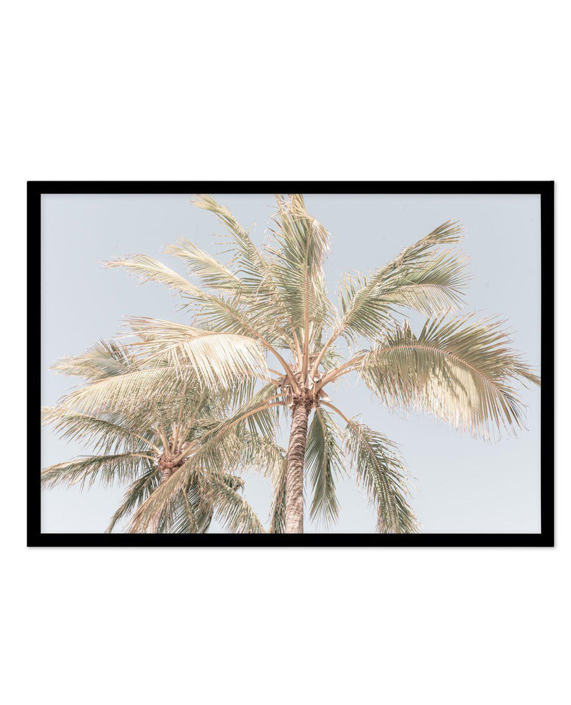 Noosa Palms I | LS Art Print-PRINT-Olive et Oriel-Olive et Oriel-A4 | 8.3" x 11.7" | 21 x 29.7cm-Black-With White Border-Buy-Australian-Art-Prints-Online-with-Olive-et-Oriel-Your-Artwork-Specialists-Austrailia-Decorate-With-Coastal-Photo-Wall-Art-Prints-From-Our-Beach-House-Artwork-Collection-Fine-Poster-and-Framed-Artwork