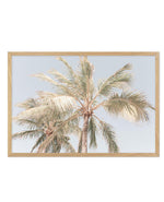 Noosa Palms I | LS Art Print-PRINT-Olive et Oriel-Olive et Oriel-A4 | 8.3" x 11.7" | 21 x 29.7cm-Oak-With White Border-Buy-Australian-Art-Prints-Online-with-Olive-et-Oriel-Your-Artwork-Specialists-Austrailia-Decorate-With-Coastal-Photo-Wall-Art-Prints-From-Our-Beach-House-Artwork-Collection-Fine-Poster-and-Framed-Artwork