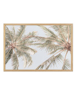 Noosa Palms II Art Print-PRINT-Olive et Oriel-Olive et Oriel-A4 | 8.3" x 11.7" | 21 x 29.7cm-Oak-With White Border-Buy-Australian-Art-Prints-Online-with-Olive-et-Oriel-Your-Artwork-Specialists-Austrailia-Decorate-With-Coastal-Photo-Wall-Art-Prints-From-Our-Beach-House-Artwork-Collection-Fine-Poster-and-Framed-Artwork