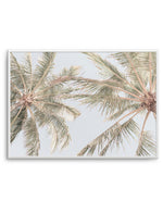 Noosa Palms II Art Print-PRINT-Olive et Oriel-Olive et Oriel-A4 | 8.3" x 11.7" | 21 x 29.7cm-Unframed Art Print-With White Border-Buy-Australian-Art-Prints-Online-with-Olive-et-Oriel-Your-Artwork-Specialists-Austrailia-Decorate-With-Coastal-Photo-Wall-Art-Prints-From-Our-Beach-House-Artwork-Collection-Fine-Poster-and-Framed-Artwork