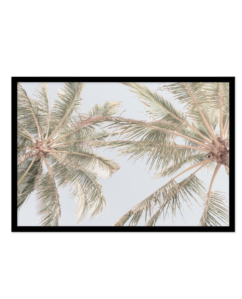 Noosa Palms II Art Print-PRINT-Olive et Oriel-Olive et Oriel-A4 | 8.3" x 11.7" | 21 x 29.7cm-Black-With White Border-Buy-Australian-Art-Prints-Online-with-Olive-et-Oriel-Your-Artwork-Specialists-Austrailia-Decorate-With-Coastal-Photo-Wall-Art-Prints-From-Our-Beach-House-Artwork-Collection-Fine-Poster-and-Framed-Artwork