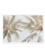 Noosa Palms II Art Print-PRINT-Olive et Oriel-Olive et Oriel-A4 | 8.3" x 11.7" | 21 x 29.7cm-White-With White Border-Buy-Australian-Art-Prints-Online-with-Olive-et-Oriel-Your-Artwork-Specialists-Austrailia-Decorate-With-Coastal-Photo-Wall-Art-Prints-From-Our-Beach-House-Artwork-Collection-Fine-Poster-and-Framed-Artwork