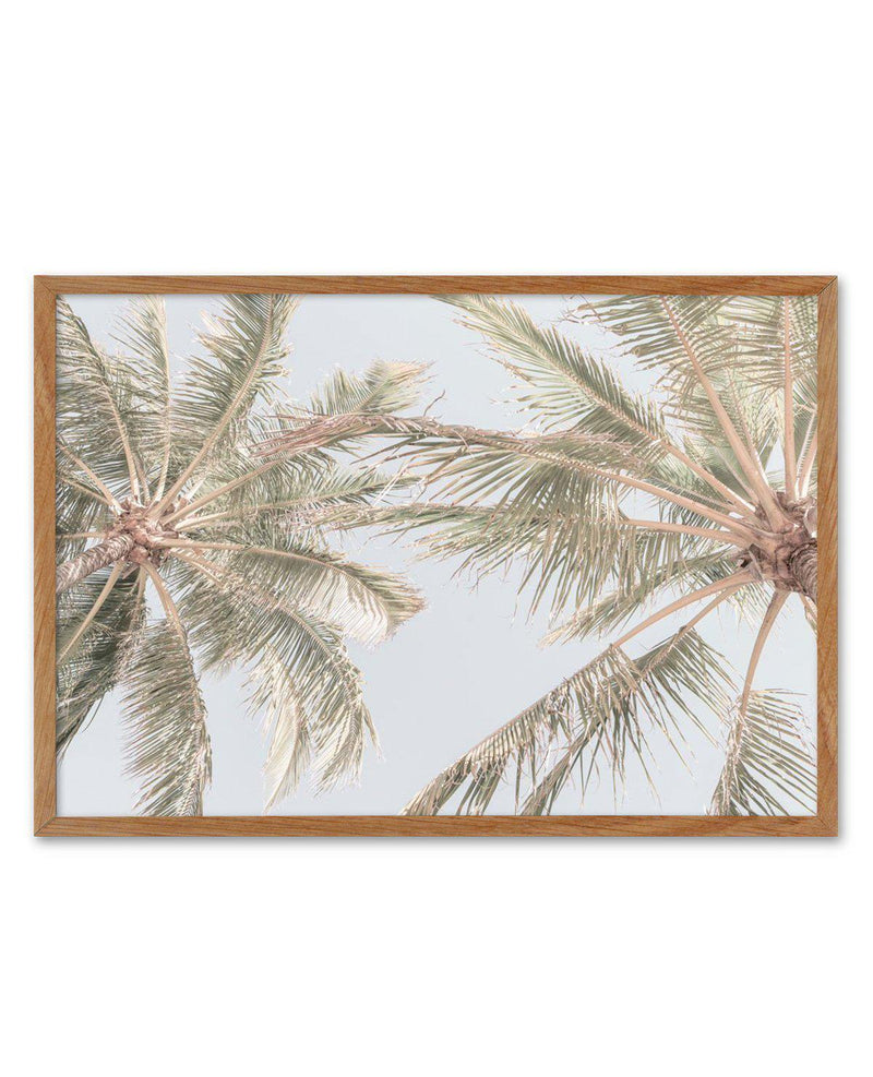 Noosa Palms II Art Print-PRINT-Olive et Oriel-Olive et Oriel-50x70 cm | 19.6" x 27.5"-Walnut-With White Border-Buy-Australian-Art-Prints-Online-with-Olive-et-Oriel-Your-Artwork-Specialists-Austrailia-Decorate-With-Coastal-Photo-Wall-Art-Prints-From-Our-Beach-House-Artwork-Collection-Fine-Poster-and-Framed-Artwork