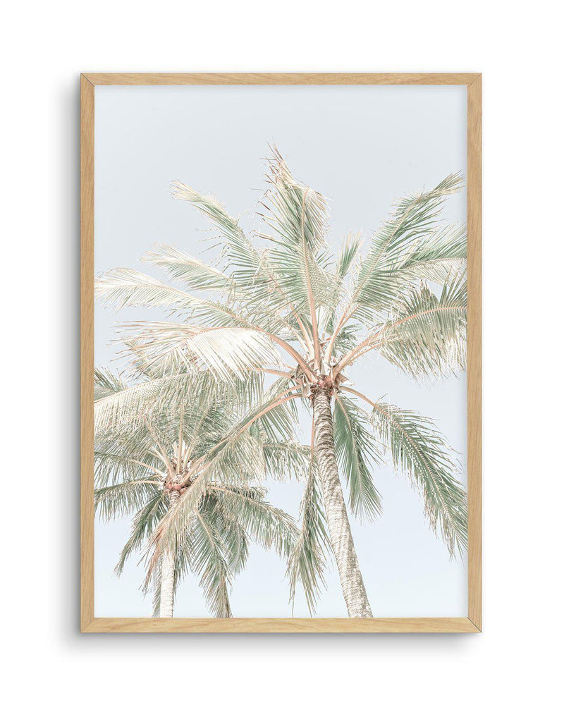 Noosa Palms | PT Art Print-PRINT-Olive et Oriel-Olive et Oriel-A4 | 8.3" x 11.7" | 21 x 29.7cm-Oak-With White Border-Buy-Australian-Art-Prints-Online-with-Olive-et-Oriel-Your-Artwork-Specialists-Austrailia-Decorate-With-Coastal-Photo-Wall-Art-Prints-From-Our-Beach-House-Artwork-Collection-Fine-Poster-and-Framed-Artwork