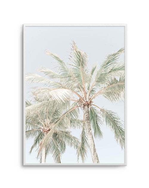 Noosa Palms | PT Art Print-PRINT-Olive et Oriel-Olive et Oriel-A4 | 8.3" x 11.7" | 21 x 29.7cm-Unframed Art Print-With White Border-Buy-Australian-Art-Prints-Online-with-Olive-et-Oriel-Your-Artwork-Specialists-Austrailia-Decorate-With-Coastal-Photo-Wall-Art-Prints-From-Our-Beach-House-Artwork-Collection-Fine-Poster-and-Framed-Artwork