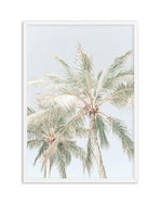 Noosa Palms | PT Art Print-PRINT-Olive et Oriel-Olive et Oriel-A4 | 8.3" x 11.7" | 21 x 29.7cm-White-With White Border-Buy-Australian-Art-Prints-Online-with-Olive-et-Oriel-Your-Artwork-Specialists-Austrailia-Decorate-With-Coastal-Photo-Wall-Art-Prints-From-Our-Beach-House-Artwork-Collection-Fine-Poster-and-Framed-Artwork