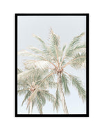 Noosa Palms | PT Art Print-PRINT-Olive et Oriel-Olive et Oriel-A4 | 8.3" x 11.7" | 21 x 29.7cm-Black-With White Border-Buy-Australian-Art-Prints-Online-with-Olive-et-Oriel-Your-Artwork-Specialists-Austrailia-Decorate-With-Coastal-Photo-Wall-Art-Prints-From-Our-Beach-House-Artwork-Collection-Fine-Poster-and-Framed-Artwork