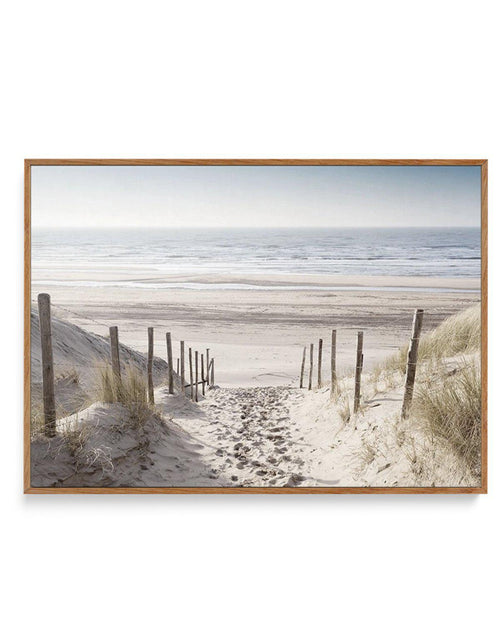 North Sea Dunes | Netherlands | Framed Canvas-CANVAS-You can shop wall art online with Olive et Oriel for everything from abstract art to fun kids wall art. Our beautiful modern art prints and canvas art are available from large canvas prints to wall art paintings and our proudly Australian artwork collection offers only the highest quality framed large wall art and canvas art Australia - You can buy fashion photography prints or Hampton print posters and paintings on canvas from Olive et Oriel 
