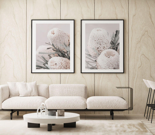 Nude Banksia II Art Print-PRINT-Olive et Oriel-Olive et Oriel-Buy-Australian-Art-Prints-Online-with-Olive-et-Oriel-Your-Artwork-Specialists-Austrailia-Decorate-With-Coastal-Photo-Wall-Art-Prints-From-Our-Beach-House-Artwork-Collection-Fine-Poster-and-Framed-Artwork