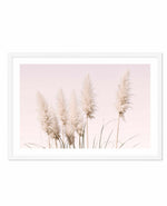 Nude Pampas | LS Art Print-PRINT-Olive et Oriel-Olive et Oriel-A4 | 8.3" x 11.7" | 21 x 29.7cm-White-With White Border-Buy-Australian-Art-Prints-Online-with-Olive-et-Oriel-Your-Artwork-Specialists-Austrailia-Decorate-With-Coastal-Photo-Wall-Art-Prints-From-Our-Beach-House-Artwork-Collection-Fine-Poster-and-Framed-Artwork