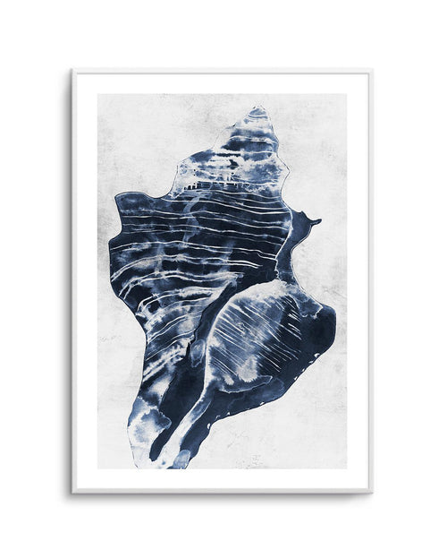 Ocean Seashell I Art Print-PRINT-Olive et Oriel-Olive et Oriel-A5 | 5.8" x 8.3" | 14.8 x 21cm-Unframed Art Print-With White Border-Buy-Australian-Art-Prints-Online-with-Olive-et-Oriel-Your-Artwork-Specialists-Austrailia-Decorate-With-Coastal-Photo-Wall-Art-Prints-From-Our-Beach-House-Artwork-Collection-Fine-Poster-and-Framed-Artwork