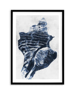 Ocean Seashell I Art Print-PRINT-Olive et Oriel-Olive et Oriel-A5 | 5.8" x 8.3" | 14.8 x 21cm-Black-With White Border-Buy-Australian-Art-Prints-Online-with-Olive-et-Oriel-Your-Artwork-Specialists-Austrailia-Decorate-With-Coastal-Photo-Wall-Art-Prints-From-Our-Beach-House-Artwork-Collection-Fine-Poster-and-Framed-Artwork