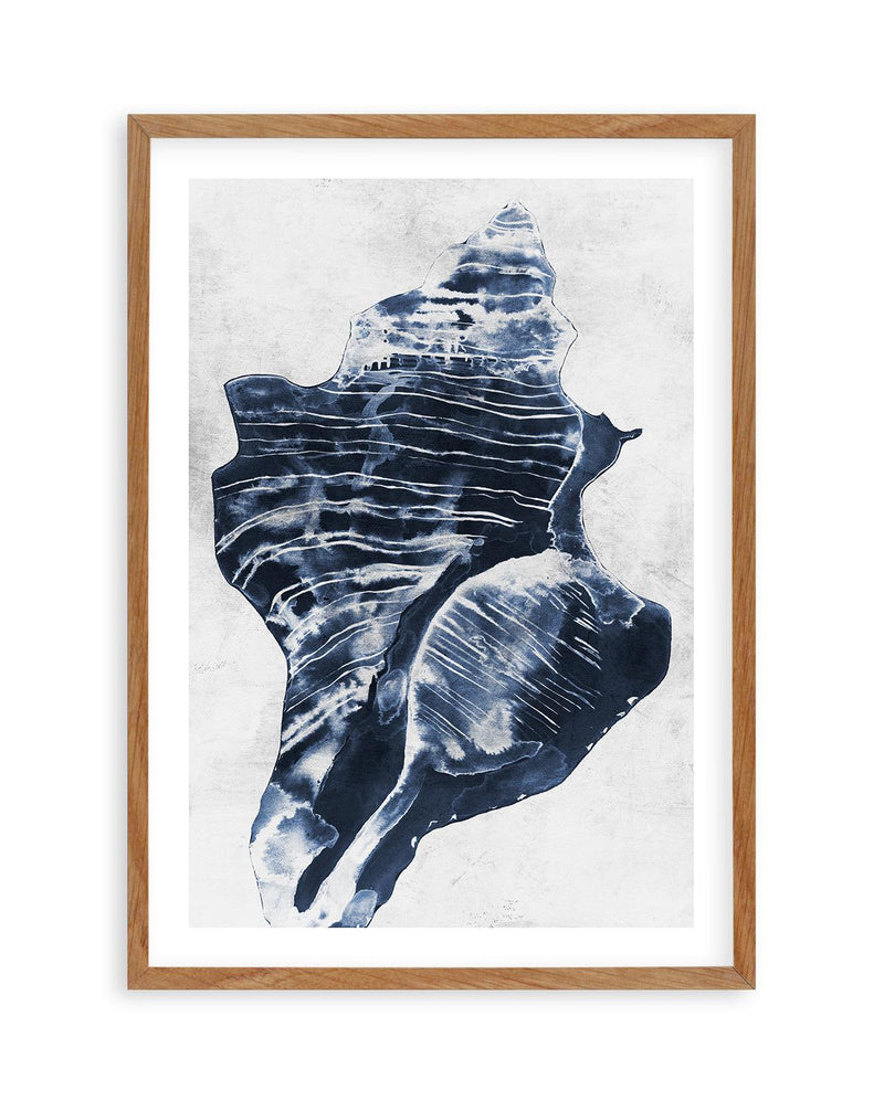 Ocean Seashell I Art Print-PRINT-Olive et Oriel-Olive et Oriel-50x70 cm | 19.6" x 27.5"-Walnut-With White Border-Buy-Australian-Art-Prints-Online-with-Olive-et-Oriel-Your-Artwork-Specialists-Austrailia-Decorate-With-Coastal-Photo-Wall-Art-Prints-From-Our-Beach-House-Artwork-Collection-Fine-Poster-and-Framed-Artwork
