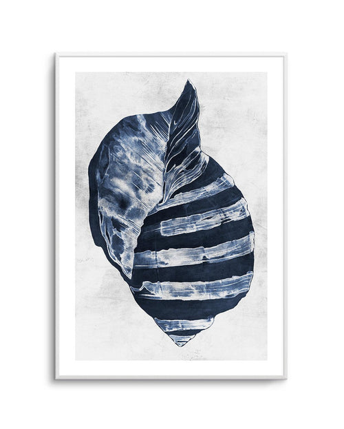 Ocean Seashell II Art Print-PRINT-Olive et Oriel-Olive et Oriel-A5 | 5.8" x 8.3" | 14.8 x 21cm-Unframed Art Print-With White Border-Buy-Australian-Art-Prints-Online-with-Olive-et-Oriel-Your-Artwork-Specialists-Austrailia-Decorate-With-Coastal-Photo-Wall-Art-Prints-From-Our-Beach-House-Artwork-Collection-Fine-Poster-and-Framed-Artwork