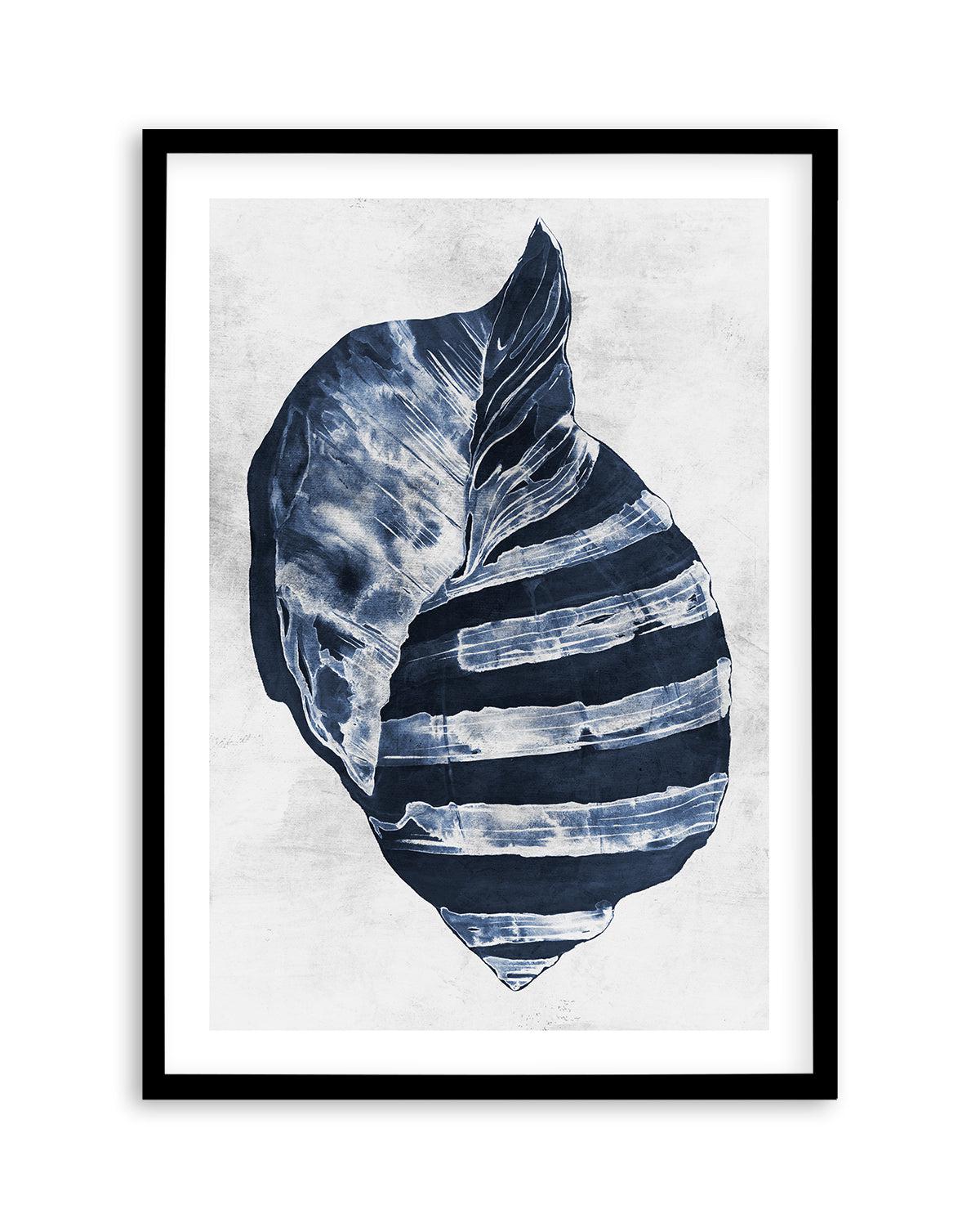 Ocean Seashell II Art Print-PRINT-Olive et Oriel-Olive et Oriel-A5 | 5.8" x 8.3" | 14.8 x 21cm-Black-With White Border-Buy-Australian-Art-Prints-Online-with-Olive-et-Oriel-Your-Artwork-Specialists-Austrailia-Decorate-With-Coastal-Photo-Wall-Art-Prints-From-Our-Beach-House-Artwork-Collection-Fine-Poster-and-Framed-Artwork