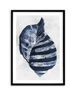 Ocean Seashell II Art Print-PRINT-Olive et Oriel-Olive et Oriel-A5 | 5.8" x 8.3" | 14.8 x 21cm-Black-With White Border-Buy-Australian-Art-Prints-Online-with-Olive-et-Oriel-Your-Artwork-Specialists-Austrailia-Decorate-With-Coastal-Photo-Wall-Art-Prints-From-Our-Beach-House-Artwork-Collection-Fine-Poster-and-Framed-Artwork