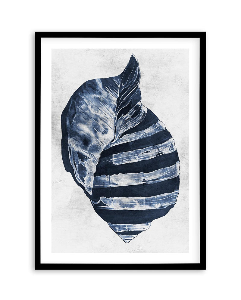 Ocean Seashell II Art Print-PRINT-Olive et Oriel-Olive et Oriel-A5 | 5.8" x 8.3" | 14.8 x 21cm-Black-With White Border-Buy-Australian-Art-Prints-Online-with-Olive-et-Oriel-Your-Artwork-Specialists-Austrailia-Decorate-With-Coastal-Photo-Wall-Art-Prints-From-Our-Beach-House-Artwork-Collection-Fine-Poster-and-Framed-Artwork