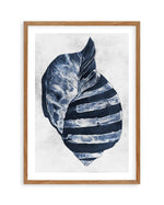 Ocean Seashell II Art Print-PRINT-Olive et Oriel-Olive et Oriel-50x70 cm | 19.6" x 27.5"-Walnut-With White Border-Buy-Australian-Art-Prints-Online-with-Olive-et-Oriel-Your-Artwork-Specialists-Austrailia-Decorate-With-Coastal-Photo-Wall-Art-Prints-From-Our-Beach-House-Artwork-Collection-Fine-Poster-and-Framed-Artwork