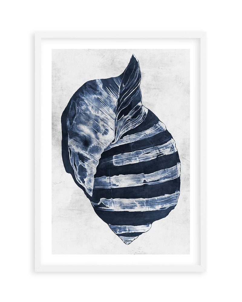 Ocean Seashell II Art Print-PRINT-Olive et Oriel-Olive et Oriel-A5 | 5.8" x 8.3" | 14.8 x 21cm-White-With White Border-Buy-Australian-Art-Prints-Online-with-Olive-et-Oriel-Your-Artwork-Specialists-Austrailia-Decorate-With-Coastal-Photo-Wall-Art-Prints-From-Our-Beach-House-Artwork-Collection-Fine-Poster-and-Framed-Artwork