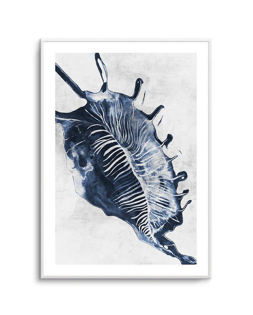 Ocean Seashell III Art Print-PRINT-Olive et Oriel-Olive et Oriel-A5 | 5.8" x 8.3" | 14.8 x 21cm-Unframed Art Print-With White Border-Buy-Australian-Art-Prints-Online-with-Olive-et-Oriel-Your-Artwork-Specialists-Austrailia-Decorate-With-Coastal-Photo-Wall-Art-Prints-From-Our-Beach-House-Artwork-Collection-Fine-Poster-and-Framed-Artwork
