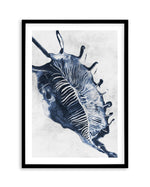 Ocean Seashell III Art Print-PRINT-Olive et Oriel-Olive et Oriel-A5 | 5.8" x 8.3" | 14.8 x 21cm-Black-With White Border-Buy-Australian-Art-Prints-Online-with-Olive-et-Oriel-Your-Artwork-Specialists-Austrailia-Decorate-With-Coastal-Photo-Wall-Art-Prints-From-Our-Beach-House-Artwork-Collection-Fine-Poster-and-Framed-Artwork