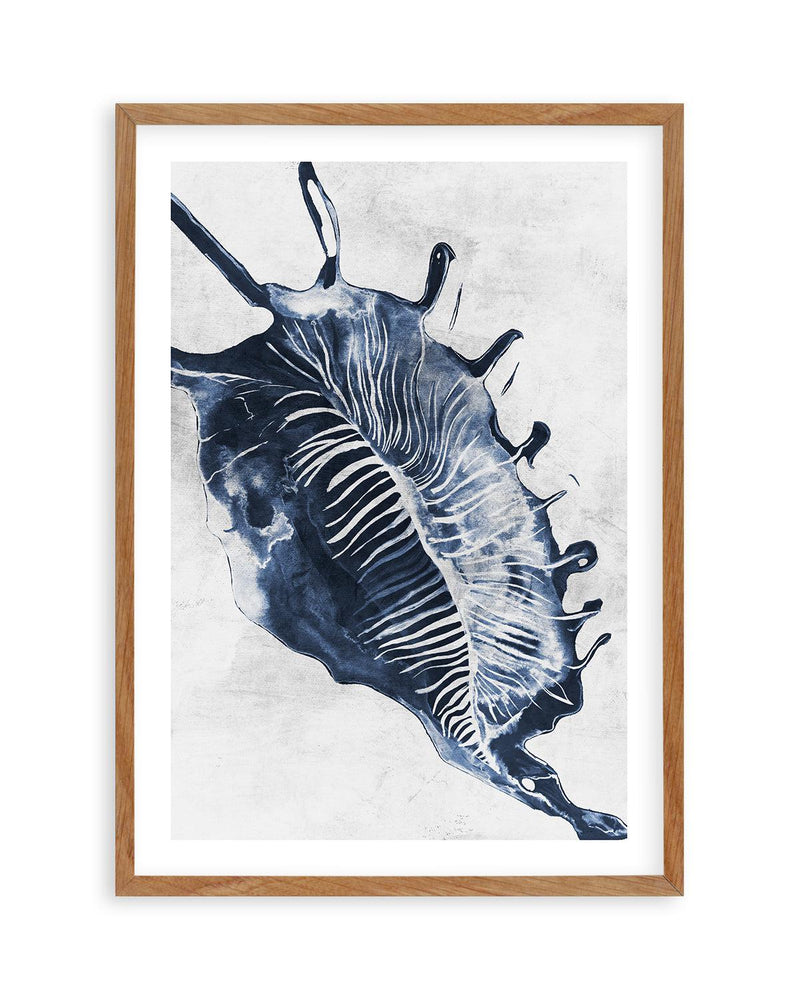 Ocean Seashell III Art Print-PRINT-Olive et Oriel-Olive et Oriel-50x70 cm | 19.6" x 27.5"-Walnut-With White Border-Buy-Australian-Art-Prints-Online-with-Olive-et-Oriel-Your-Artwork-Specialists-Austrailia-Decorate-With-Coastal-Photo-Wall-Art-Prints-From-Our-Beach-House-Artwork-Collection-Fine-Poster-and-Framed-Artwork
