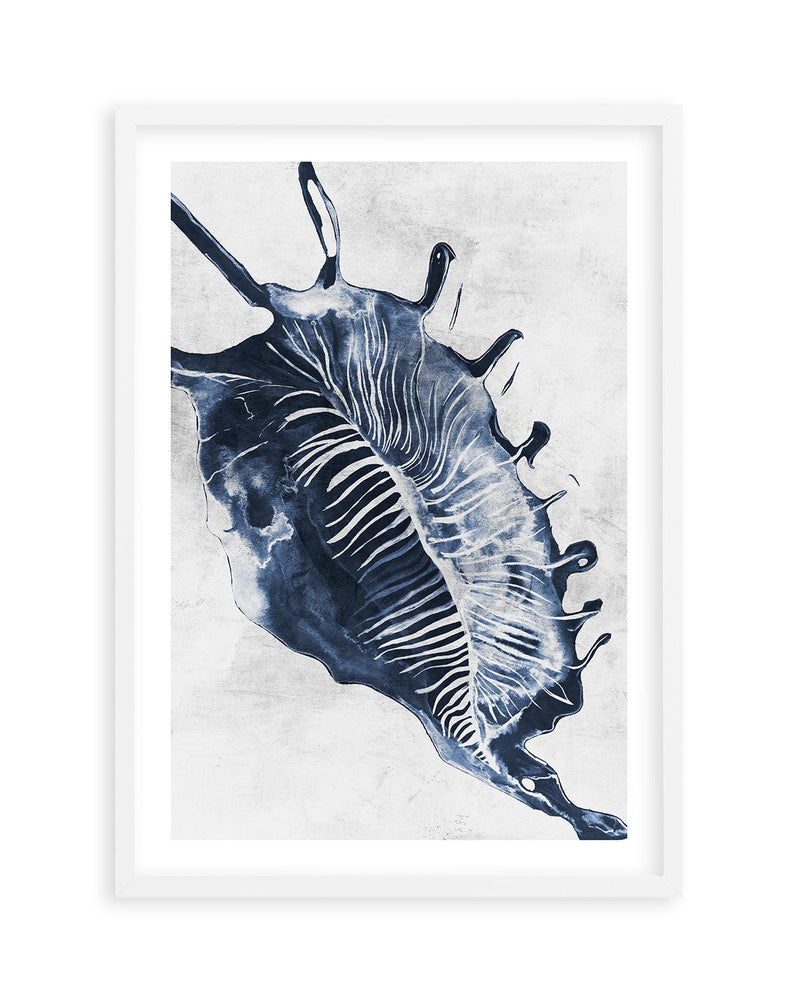 Ocean Seashell III Art Print-PRINT-Olive et Oriel-Olive et Oriel-A5 | 5.8" x 8.3" | 14.8 x 21cm-White-With White Border-Buy-Australian-Art-Prints-Online-with-Olive-et-Oriel-Your-Artwork-Specialists-Austrailia-Decorate-With-Coastal-Photo-Wall-Art-Prints-From-Our-Beach-House-Artwork-Collection-Fine-Poster-and-Framed-Artwork