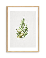 Olive I Art Print-PRINT-Olive et Oriel-Olive et Oriel-A5 | 5.8" x 8.3" | 14.8 x 21cm-Oak-With White Border-Buy-Australian-Art-Prints-Online-with-Olive-et-Oriel-Your-Artwork-Specialists-Austrailia-Decorate-With-Coastal-Photo-Wall-Art-Prints-From-Our-Beach-House-Artwork-Collection-Fine-Poster-and-Framed-Artwork