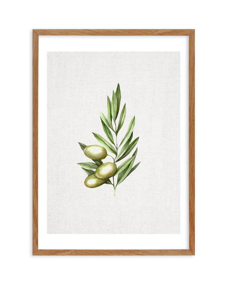 Olive I Art Print-PRINT-Olive et Oriel-Olive et Oriel-50x70 cm | 19.6" x 27.5"-Walnut-With White Border-Buy-Australian-Art-Prints-Online-with-Olive-et-Oriel-Your-Artwork-Specialists-Austrailia-Decorate-With-Coastal-Photo-Wall-Art-Prints-From-Our-Beach-House-Artwork-Collection-Fine-Poster-and-Framed-Artwork