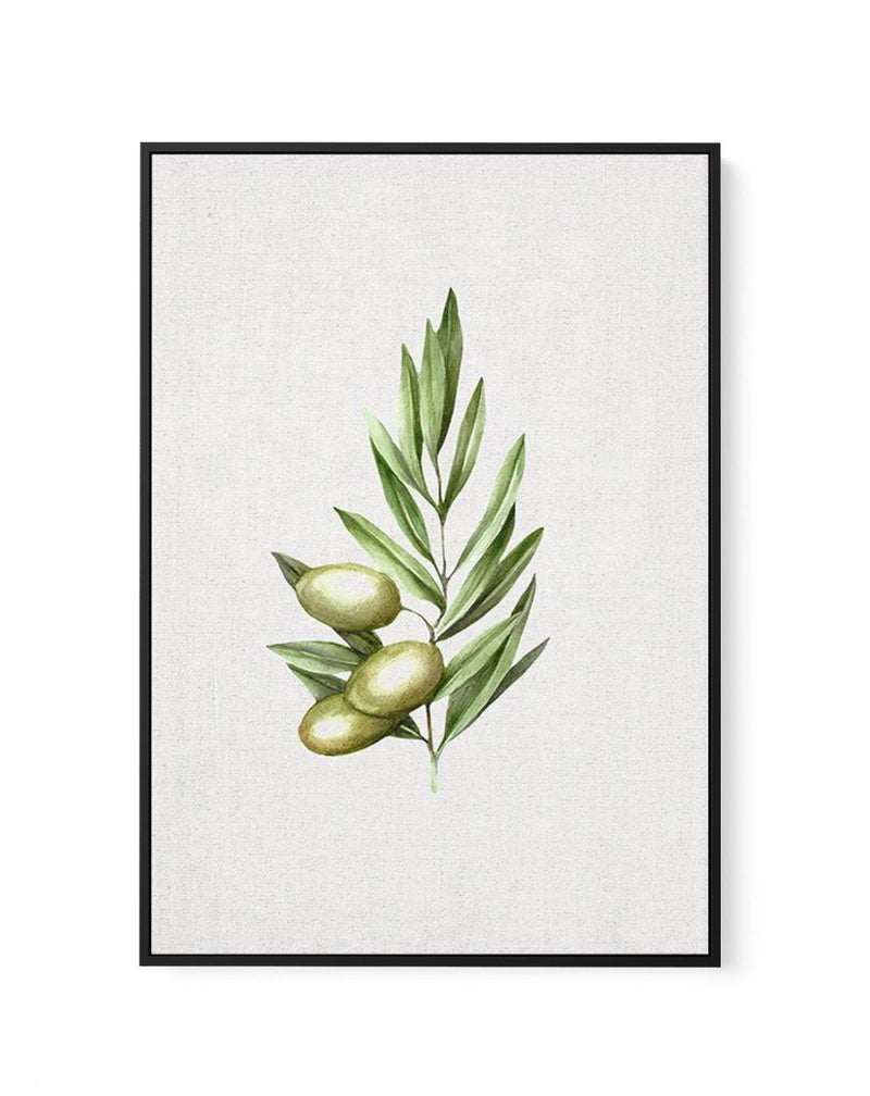 Olive I | Framed Canvas-CANVAS-You can shop wall art online with Olive et Oriel for everything from abstract art to fun kids wall art. Our beautiful modern art prints and canvas art are available from large canvas prints to wall art paintings and our proudly Australian artwork collection offers only the highest quality framed large wall art and canvas art Australia - You can buy fashion photography prints or Hampton print posters and paintings on canvas from Olive et Oriel and have them delivere
