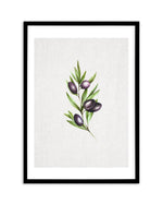 Olive II Art Print-PRINT-Olive et Oriel-Olive et Oriel-A4 | 8.3" x 11.7" | 21 x 29.7cm-Black-With White Border-Buy-Australian-Art-Prints-Online-with-Olive-et-Oriel-Your-Artwork-Specialists-Austrailia-Decorate-With-Coastal-Photo-Wall-Art-Prints-From-Our-Beach-House-Artwork-Collection-Fine-Poster-and-Framed-Artwork