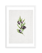 Olive II Art Print-PRINT-Olive et Oriel-Olive et Oriel-A4 | 8.3" x 11.7" | 21 x 29.7cm-White-With White Border-Buy-Australian-Art-Prints-Online-with-Olive-et-Oriel-Your-Artwork-Specialists-Austrailia-Decorate-With-Coastal-Photo-Wall-Art-Prints-From-Our-Beach-House-Artwork-Collection-Fine-Poster-and-Framed-Artwork