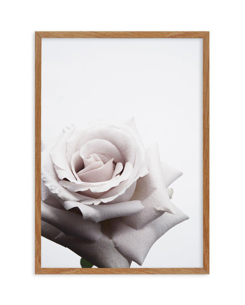 Oscar Rose Art Print-PRINT-Olive et Oriel-Olive et Oriel-50x70 cm | 19.6" x 27.5"-Walnut-With White Border-Buy-Australian-Art-Prints-Online-with-Olive-et-Oriel-Your-Artwork-Specialists-Austrailia-Decorate-With-Coastal-Photo-Wall-Art-Prints-From-Our-Beach-House-Artwork-Collection-Fine-Poster-and-Framed-Artwork