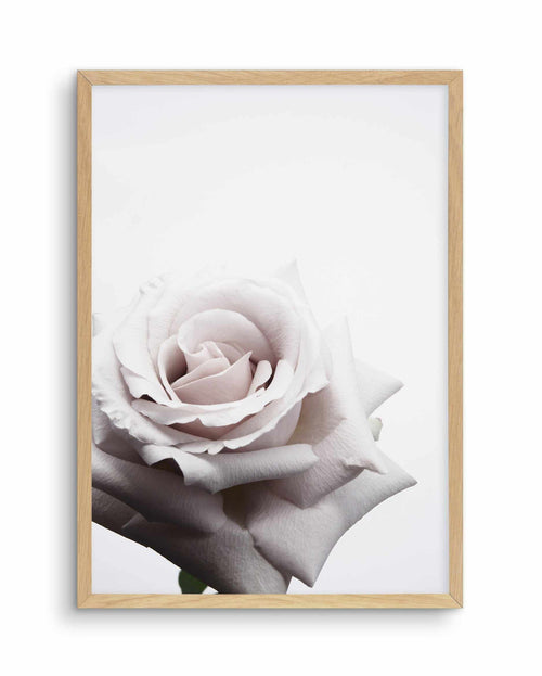 Oscar Rose Art Print-PRINT-Olive et Oriel-Olive et Oriel-A5 | 5.8" x 8.3" | 14.8 x 21cm-Oak-With White Border-Buy-Australian-Art-Prints-Online-with-Olive-et-Oriel-Your-Artwork-Specialists-Austrailia-Decorate-With-Coastal-Photo-Wall-Art-Prints-From-Our-Beach-House-Artwork-Collection-Fine-Poster-and-Framed-Artwork