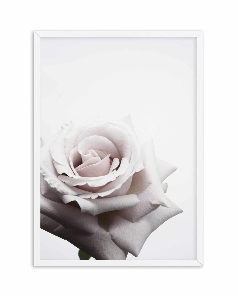 Oscar Rose Art Print-PRINT-Olive et Oriel-Olive et Oriel-A5 | 5.8" x 8.3" | 14.8 x 21cm-White-With White Border-Buy-Australian-Art-Prints-Online-with-Olive-et-Oriel-Your-Artwork-Specialists-Austrailia-Decorate-With-Coastal-Photo-Wall-Art-Prints-From-Our-Beach-House-Artwork-Collection-Fine-Poster-and-Framed-Artwork