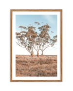 Out West PT Art Print-PRINT-Olive et Oriel-Olive et Oriel-50x70 cm | 19.6" x 27.5"-Walnut-With White Border-Buy-Australian-Art-Prints-Online-with-Olive-et-Oriel-Your-Artwork-Specialists-Austrailia-Decorate-With-Coastal-Photo-Wall-Art-Prints-From-Our-Beach-House-Artwork-Collection-Fine-Poster-and-Framed-Artwork