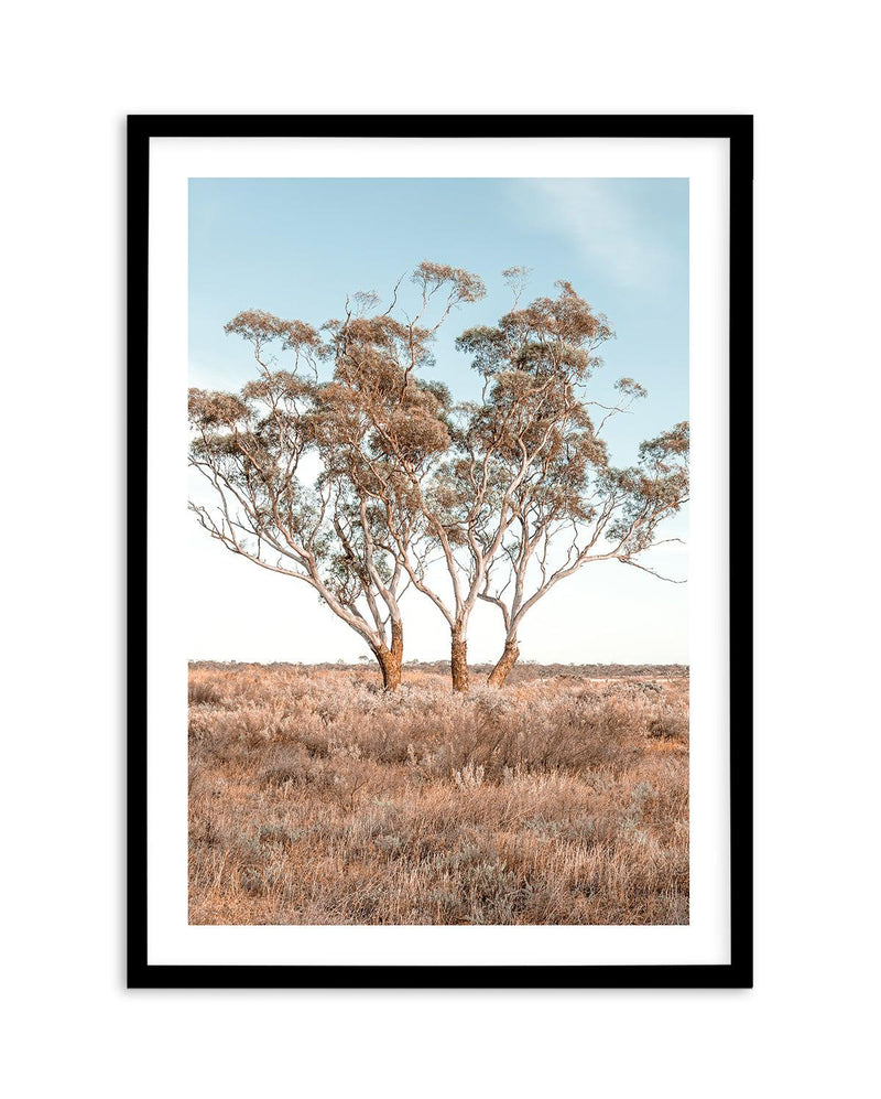 Out West PT Art Print-PRINT-Olive et Oriel-Olive et Oriel-A5 | 5.8" x 8.3" | 14.8 x 21cm-Black-With White Border-Buy-Australian-Art-Prints-Online-with-Olive-et-Oriel-Your-Artwork-Specialists-Austrailia-Decorate-With-Coastal-Photo-Wall-Art-Prints-From-Our-Beach-House-Artwork-Collection-Fine-Poster-and-Framed-Artwork
