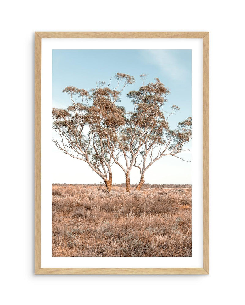 Out West PT Art Print-PRINT-Olive et Oriel-Olive et Oriel-A5 | 5.8" x 8.3" | 14.8 x 21cm-Oak-With White Border-Buy-Australian-Art-Prints-Online-with-Olive-et-Oriel-Your-Artwork-Specialists-Austrailia-Decorate-With-Coastal-Photo-Wall-Art-Prints-From-Our-Beach-House-Artwork-Collection-Fine-Poster-and-Framed-Artwork