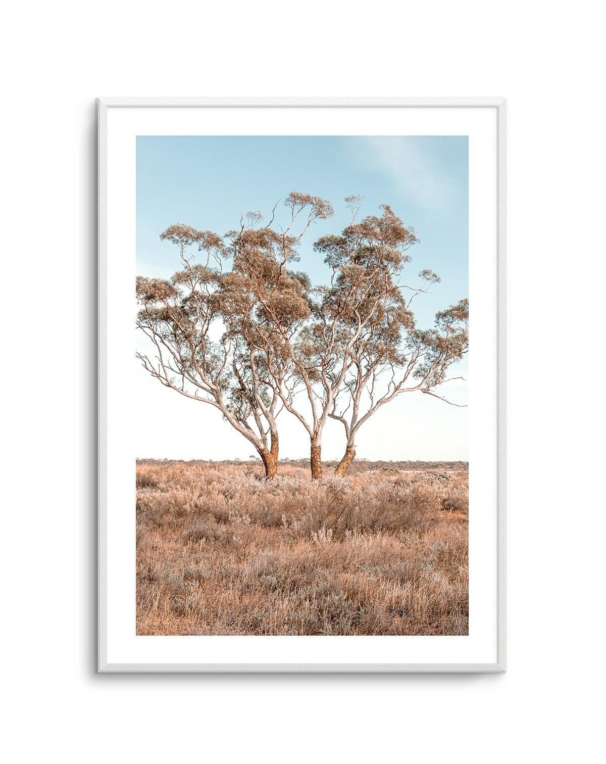 Out West PT Art Print-PRINT-Olive et Oriel-Olive et Oriel-Buy-Australian-Art-Prints-Online-with-Olive-et-Oriel-Your-Artwork-Specialists-Austrailia-Decorate-With-Coastal-Photo-Wall-Art-Prints-From-Our-Beach-House-Artwork-Collection-Fine-Poster-and-Framed-Artwork