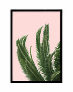 Palms on Pink Art Print-PRINT-Olive et Oriel-Olive et Oriel-A4 | 8.3" x 11.7" | 21 x 29.7cm-Black-With White Border-Buy-Australian-Art-Prints-Online-with-Olive-et-Oriel-Your-Artwork-Specialists-Austrailia-Decorate-With-Coastal-Photo-Wall-Art-Prints-From-Our-Beach-House-Artwork-Collection-Fine-Poster-and-Framed-Artwork