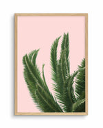 Palms on Pink Art Print-PRINT-Olive et Oriel-Olive et Oriel-A4 | 8.3" x 11.7" | 21 x 29.7cm-Oak-With White Border-Buy-Australian-Art-Prints-Online-with-Olive-et-Oriel-Your-Artwork-Specialists-Austrailia-Decorate-With-Coastal-Photo-Wall-Art-Prints-From-Our-Beach-House-Artwork-Collection-Fine-Poster-and-Framed-Artwork