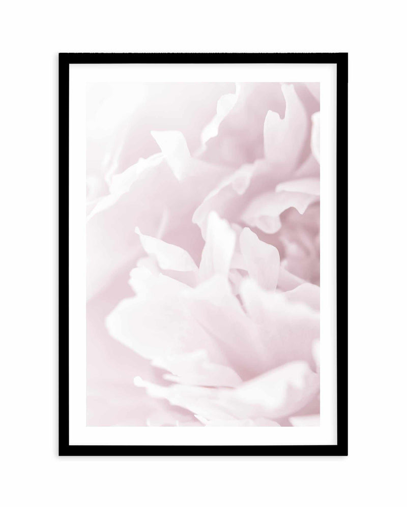 Peony In Bloom I Art Print-PRINT-Olive et Oriel-Olive et Oriel-A4 | 8.3" x 11.7" | 21 x 29.7cm-Black-With White Border-Buy-Australian-Art-Prints-Online-with-Olive-et-Oriel-Your-Artwork-Specialists-Austrailia-Decorate-With-Coastal-Photo-Wall-Art-Prints-From-Our-Beach-House-Artwork-Collection-Fine-Poster-and-Framed-Artwork