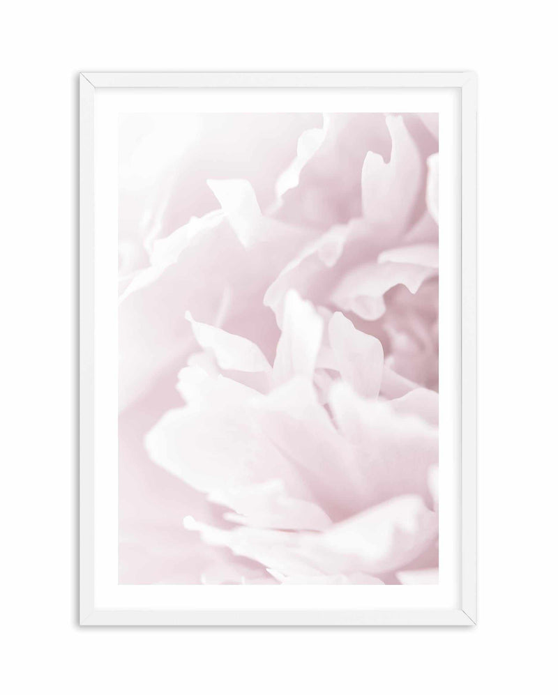 Peony In Bloom I Art Print-PRINT-Olive et Oriel-Olive et Oriel-A4 | 8.3" x 11.7" | 21 x 29.7cm-White-With White Border-Buy-Australian-Art-Prints-Online-with-Olive-et-Oriel-Your-Artwork-Specialists-Austrailia-Decorate-With-Coastal-Photo-Wall-Art-Prints-From-Our-Beach-House-Artwork-Collection-Fine-Poster-and-Framed-Artwork