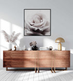 Pale Rose | SQ Art Print-PRINT-Olive et Oriel-Olive et Oriel-Buy-Australian-Art-Prints-Online-with-Olive-et-Oriel-Your-Artwork-Specialists-Austrailia-Decorate-With-Coastal-Photo-Wall-Art-Prints-From-Our-Beach-House-Artwork-Collection-Fine-Poster-and-Framed-Artwork