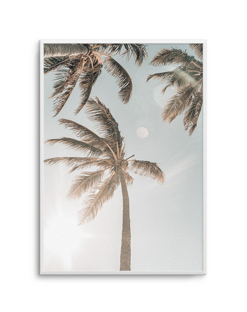 Palm Beach Art Print-PRINT-Olive et Oriel-Olive et Oriel-A5 | 5.8" x 8.3" | 14.8 x 21cm-Unframed Art Print-With White Border-Buy-Australian-Art-Prints-Online-with-Olive-et-Oriel-Your-Artwork-Specialists-Austrailia-Decorate-With-Coastal-Photo-Wall-Art-Prints-From-Our-Beach-House-Artwork-Collection-Fine-Poster-and-Framed-Artwork