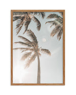 Palm Beach Art Print-PRINT-Olive et Oriel-Olive et Oriel-Buy-Australian-Art-Prints-Online-with-Olive-et-Oriel-Your-Artwork-Specialists-Austrailia-Decorate-With-Coastal-Photo-Wall-Art-Prints-From-Our-Beach-House-Artwork-Collection-Fine-Poster-and-Framed-Artwork