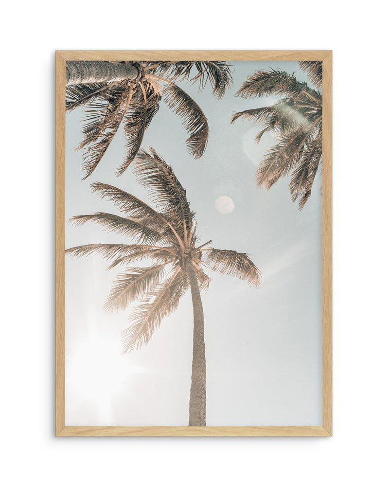 Palm Beach Gold Coast Exclusive Photographic Framed Art Print Poster ...