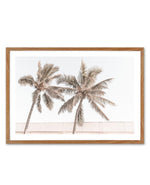 Palm Resort III Art Print-PRINT-Olive et Oriel-Olive et Oriel-50x70 cm | 19.6" x 27.5"-Walnut-With White Border-Buy-Australian-Art-Prints-Online-with-Olive-et-Oriel-Your-Artwork-Specialists-Austrailia-Decorate-With-Coastal-Photo-Wall-Art-Prints-From-Our-Beach-House-Artwork-Collection-Fine-Poster-and-Framed-Artwork